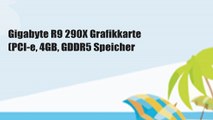 Gigabyte R9 290X Grafikkarte (PCI-e, 4GB, GDDR5 Speicher