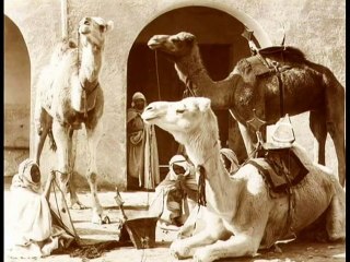 Biskra (Algérie) au XIXe siecle