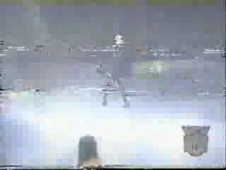 nWo attack/Sting drops in 17-3-97