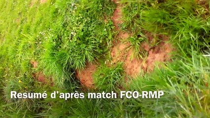 Résumé d'après match par deux clows de service