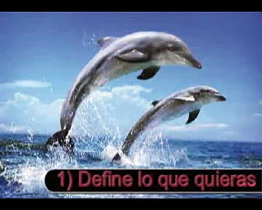 Coaching PNL Motivación conferencias Tony Robbins en Español The Secret en Español