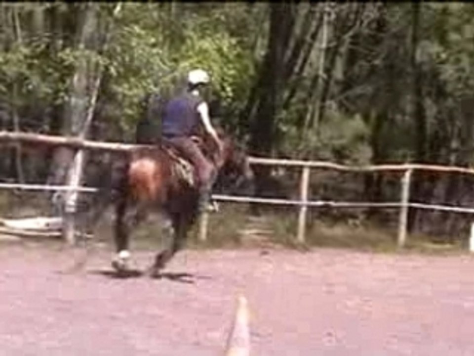 Galop