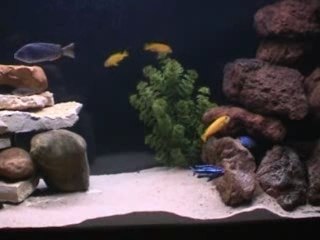 390 Malawi's 390-Litre Water Supply 💧