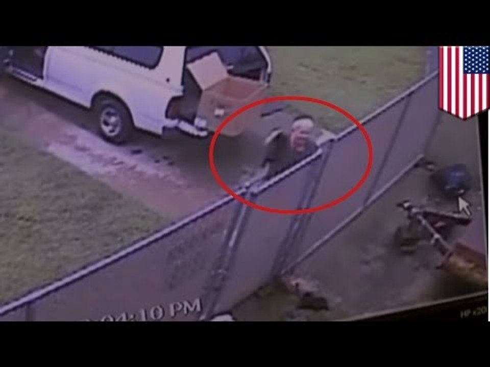 PRIS EN FLAG: Un technicien de surface est filmé balancer et abandonner des chiots.