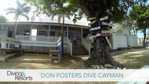 World's Best Diving & Resorts: Don Fosters