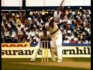 Punjabi Totay Imran Khan Pakistan, Waseem Akram