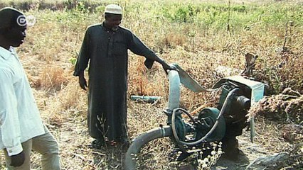 Voluntarily or Involuntarily? Returnees in Mali | Global 3000