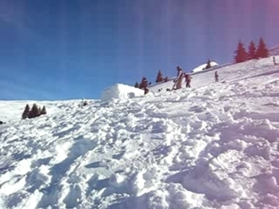 MVI_0801