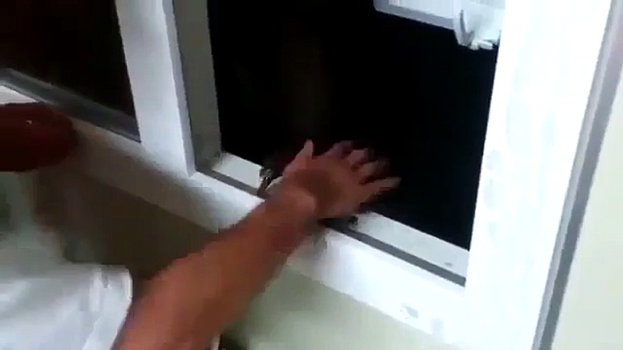 Вот так и живем или обычный день в России.