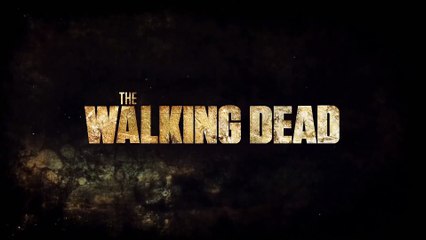 The Walking Dead Tribute - We Stick Together