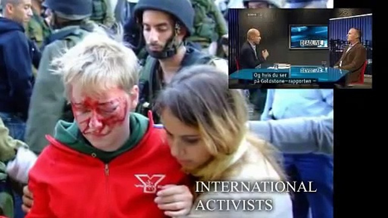 Norman Finkelstein International Law and War Crimes Israel / Palestine