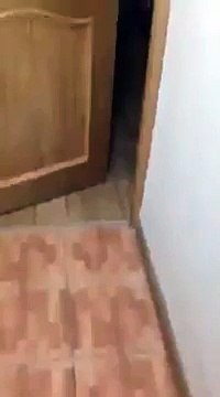 Endormi, ce que Fait ce mec est à Mourir de Rire