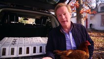 Urban Farm | Farm Raised With P. Allen Smith