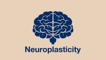 Neuroplasticity