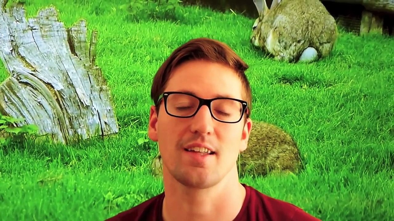 Alte Nutztierrassen Folge 25: Heckrind, Auerochsen Abbildzüchtung, Rückzüchtung Doku Tiere