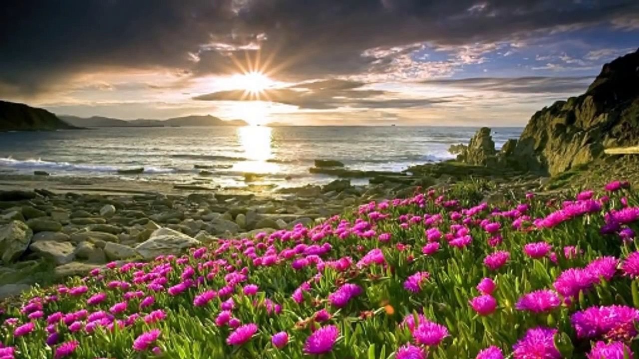 Guru Ram Das - Mirabai Ceiba
