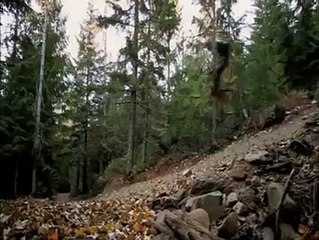 Vélo de descente : Juste pour le plaisir des yeux