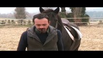 Francesco Vedani - Tranquillizzare un cavallo impaurito 1