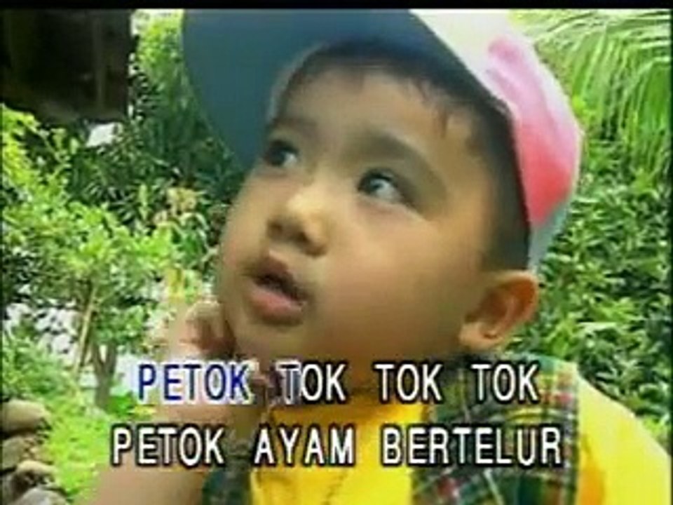 joshua - cit cit cuit