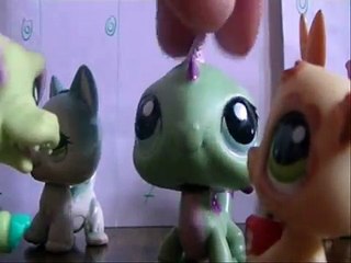 LPS: ◊ Strażniczka tęczy ◊(#1Nowa szkoła)