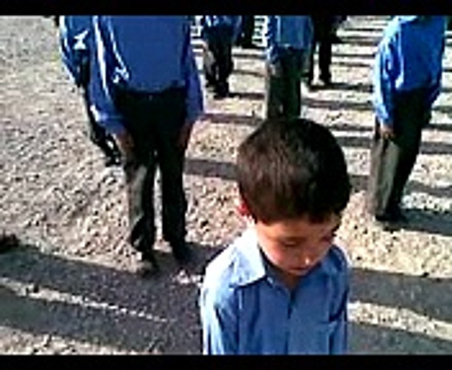 Qomi Tarana