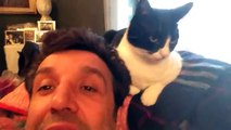 La gatta di Flavio Insinna non ama Hitchcock