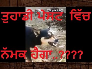 kya aapke toothpaste mein namak hai funny Video April 2015