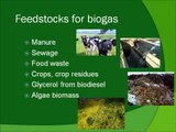 Anaerobic Digestion and Biogas Overview