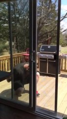 Angry Man vs. Screen Door : epic fail