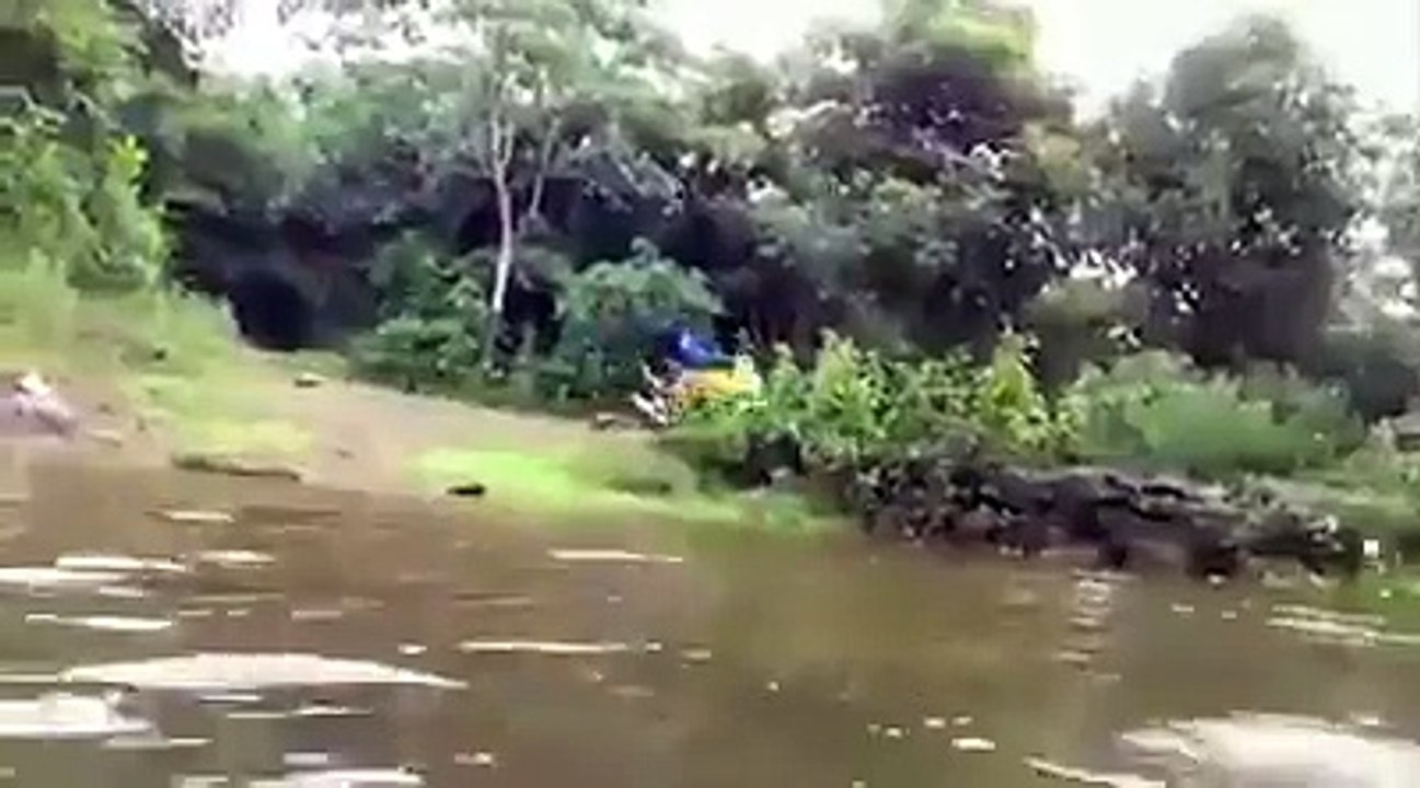Funny Video