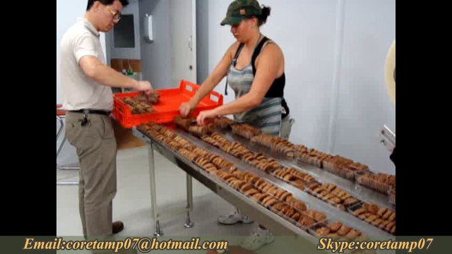 biscuit flow pack,tray packaging machine