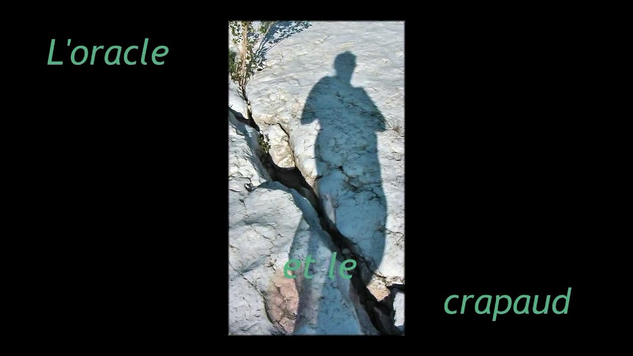 2015-L'oracle et le crapaud-web