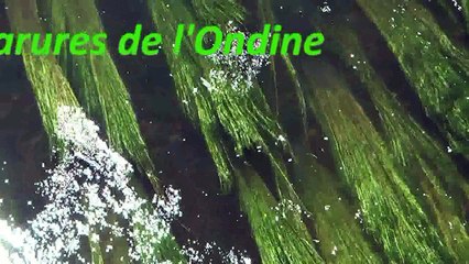 2011-Dans le scintillement des parures de l'Ondine