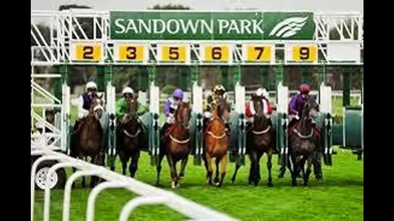 Red Planet Marketing Owners Day at the Races
