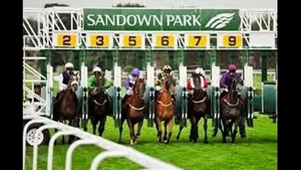 Red Planet Marketing Owners Day at the Races