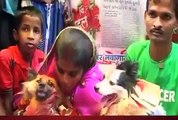 بھارت میں عشق میں گرفتار کتے اورکتیا کی شادی دھوم دھام سے کردی گئی
