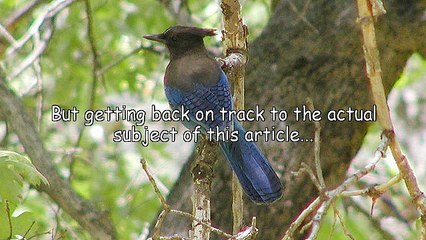 Getting Links To Your Site Free and Easy