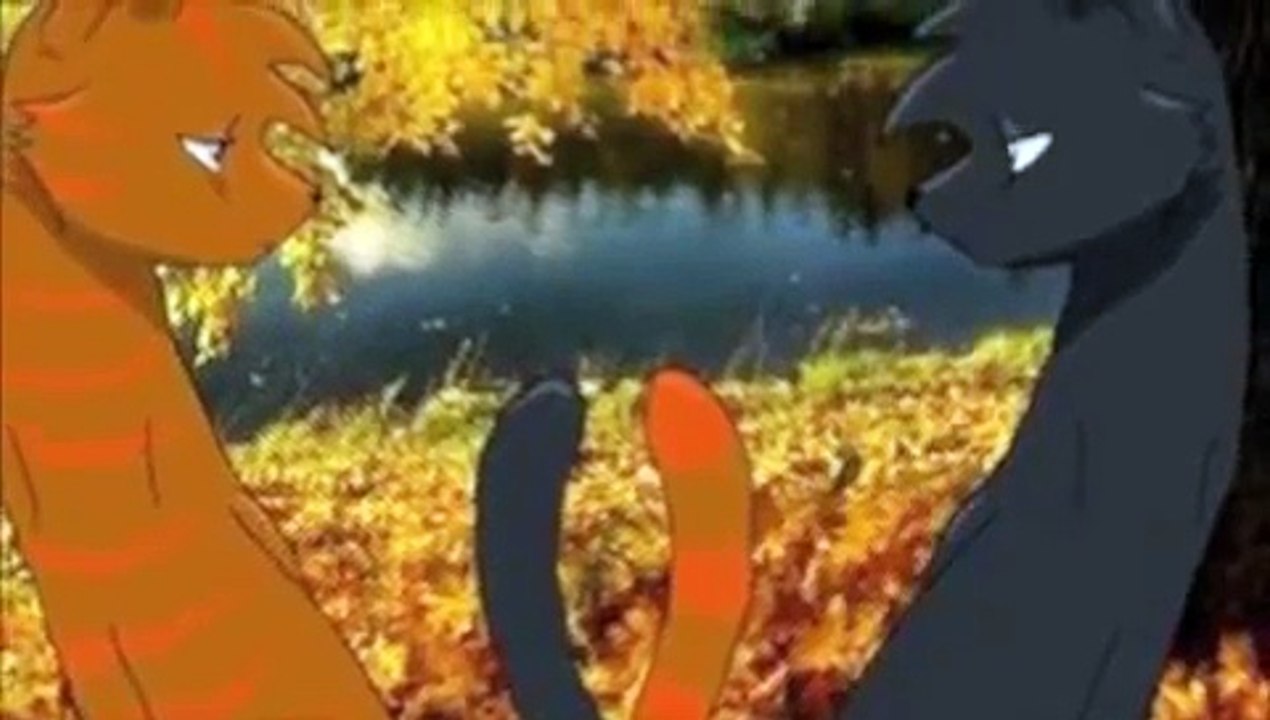 Warrior cats couples theme songs video Dailymotion