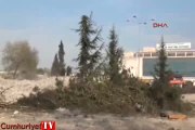 Sakarya'da yeni hastane binası için 100 ağaç sökülüp kesildi