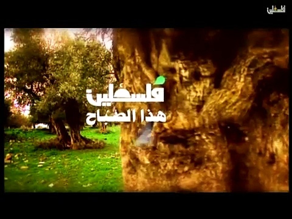 هذا الصباح 28-4-2015 ج1