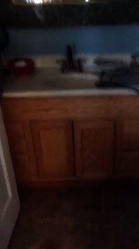 Un chat urine dans les toilettes !