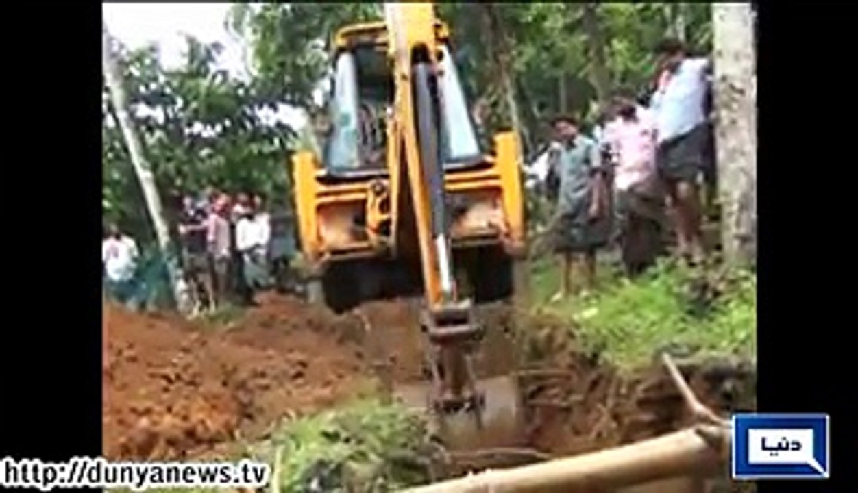 Elephant rescued in China