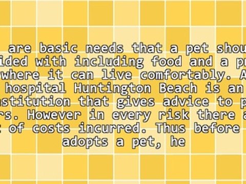 Find Out The Importance Of Animal Hospital Huntington Beach Provides