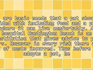 Find Out The Importance Of Animal Hospital Huntington Beach Provides