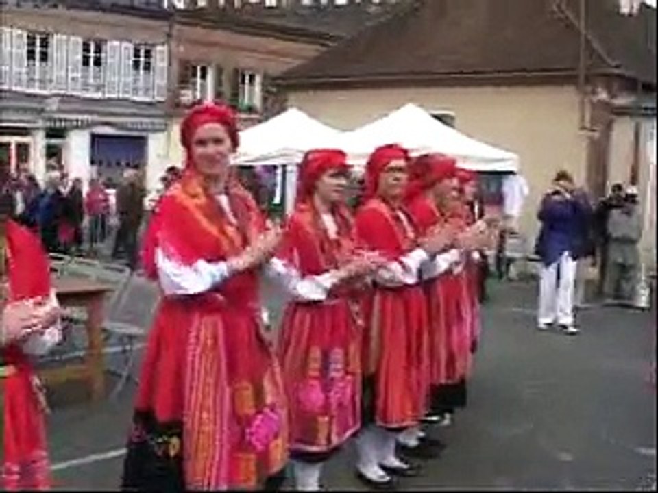 Fête de l'Europe 2009 à Villeneuve sur Yonne