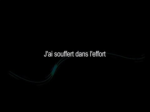 A la recherche du bonheur - Shin Sekai & Dr Bériz (lyrics)