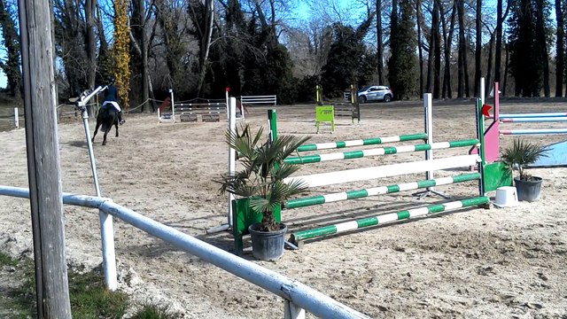 Jenny Tarab CSO Montelimar prepa 110