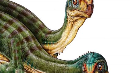 'BIZARRE' JURASSIC DINOSAUR DISCOVERED IN REMARKABLE NEW FIND
