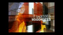 La vie de Bouddha Part 3/4