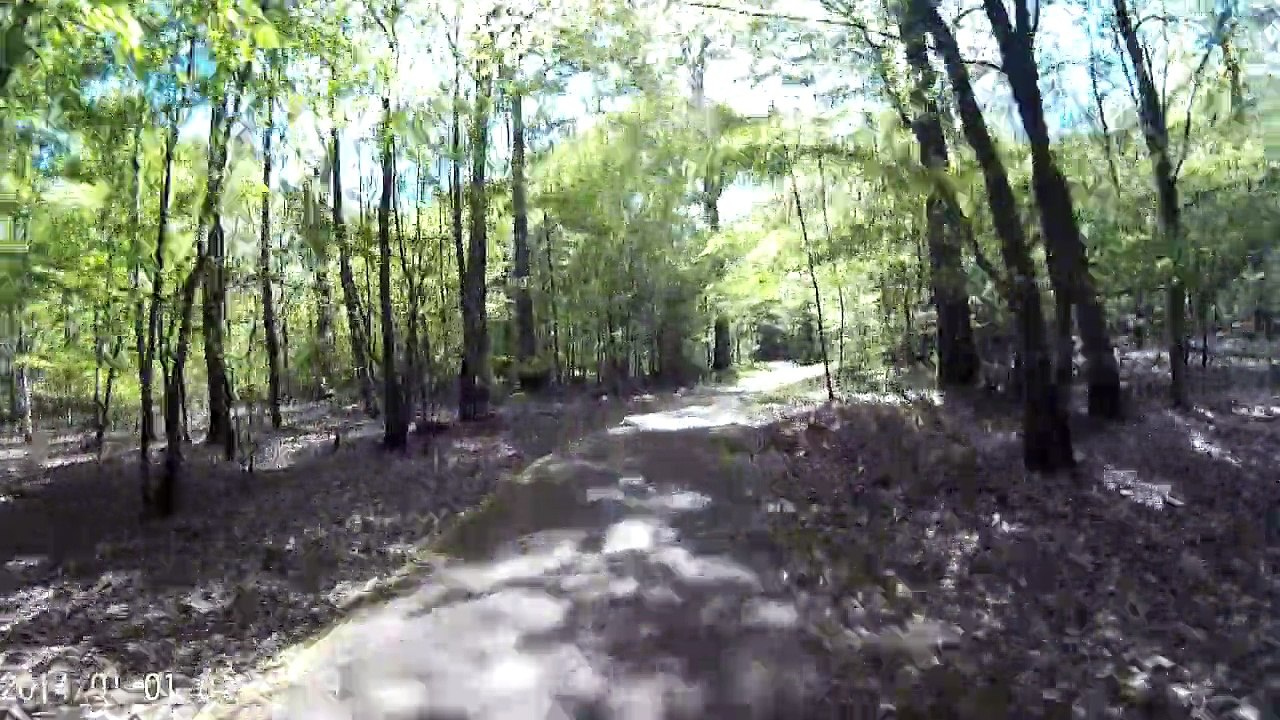 De montfort a rambouillet en vtt partie 6